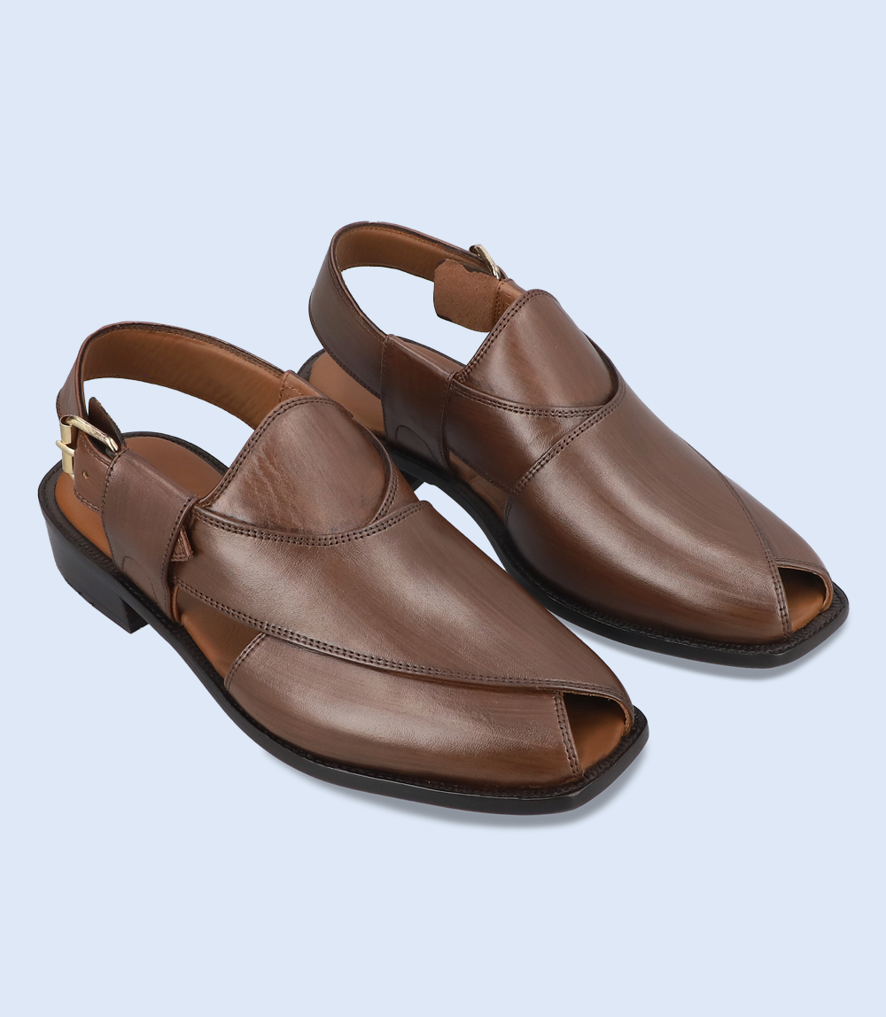 BM5610 COFFEE Men Peshawari s Borjan