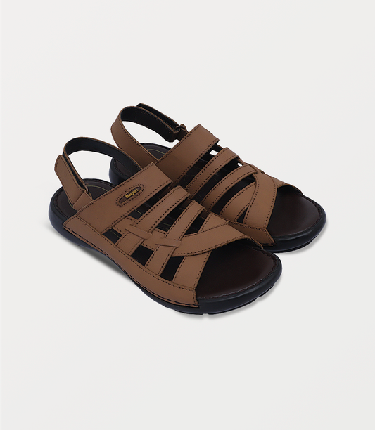 TAN