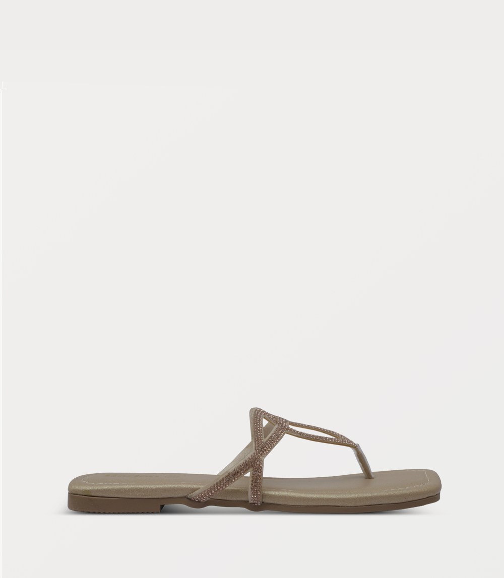 Chappal Borjan Shoes Women Women Chappal-GOLDEN – Borjan