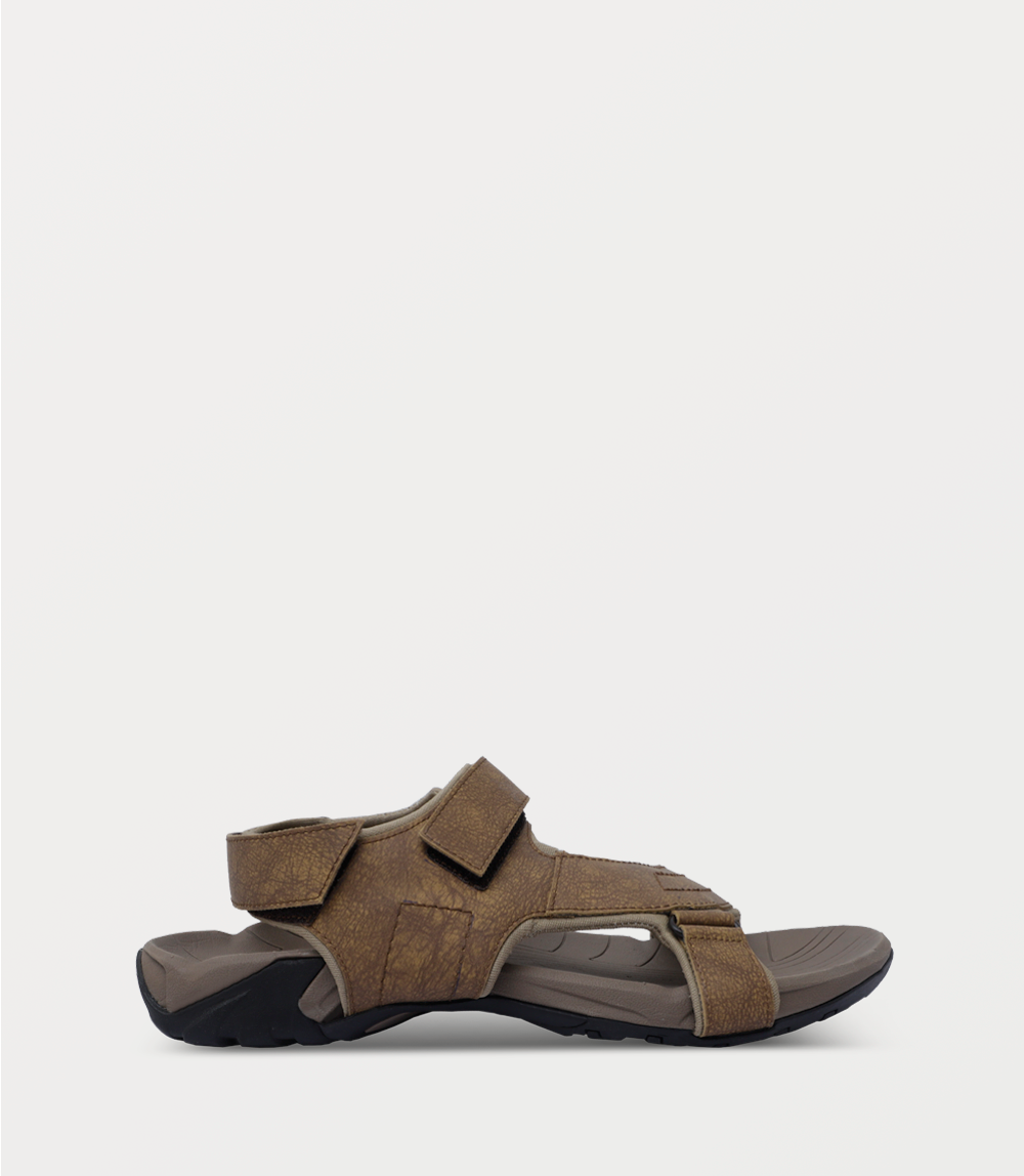 TAN