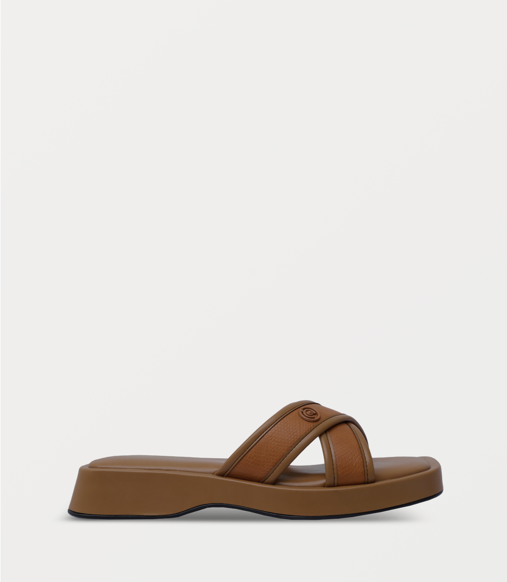 TAN
