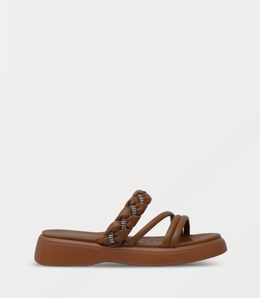 TAN