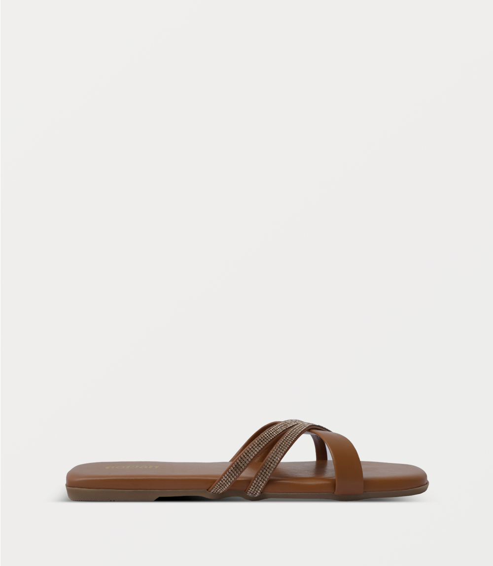 TAN