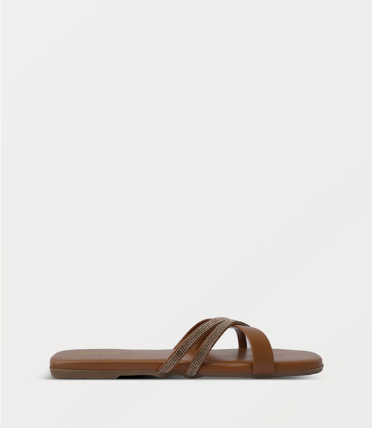 TAN