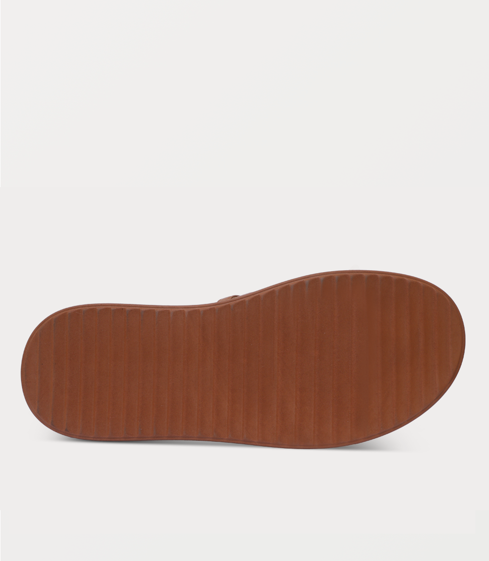 TAN