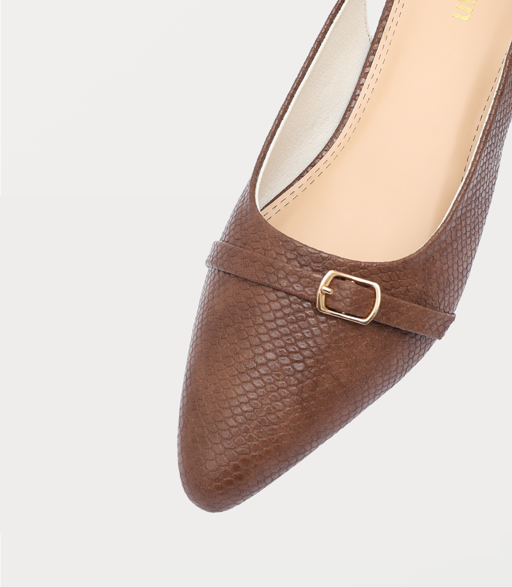 CHOC/BROWN