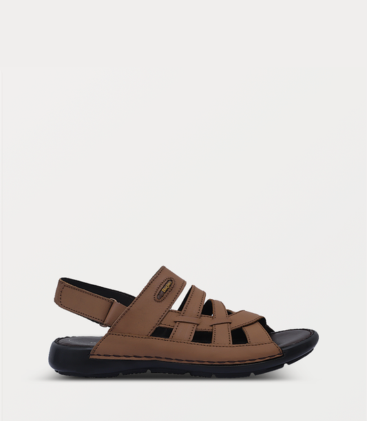 TAN